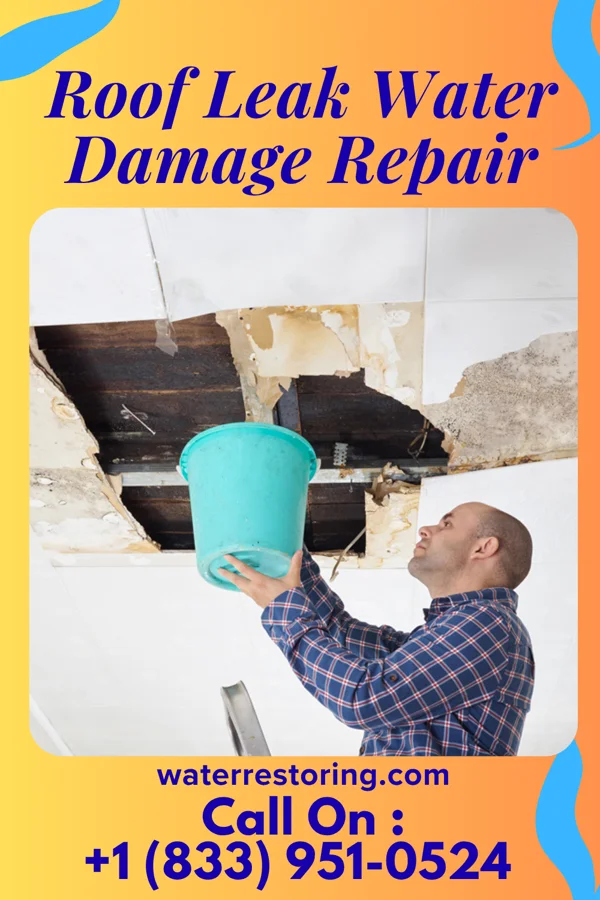 Roof Leak Water Damage Repair in Dresser, WI